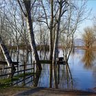 inondation  au marais ! Premier tableau 14h