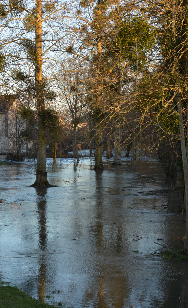 Inondation