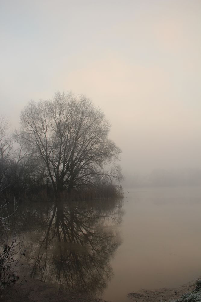 inondation et brume du matin