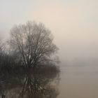 inondation et brume du matin