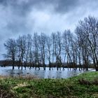 Inondation marais