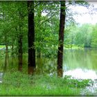 INONDATIONS - 1 - 