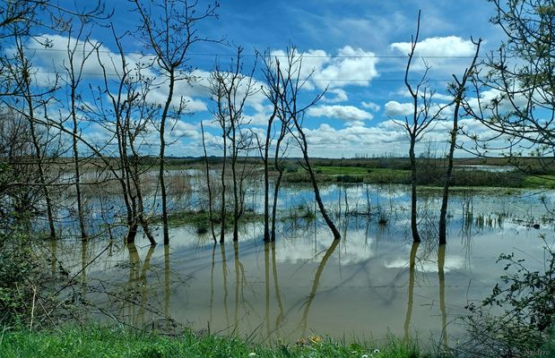 Inondations