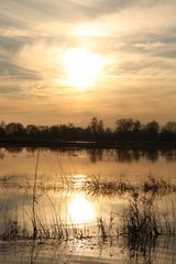 Inondations dans le Ried