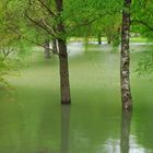 Inondations en Bourgogne