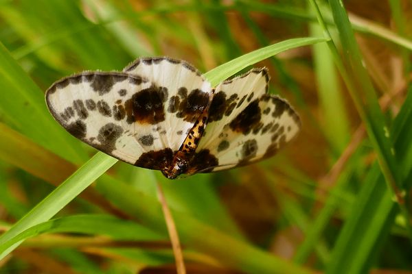 ins Altölfass gefallen?