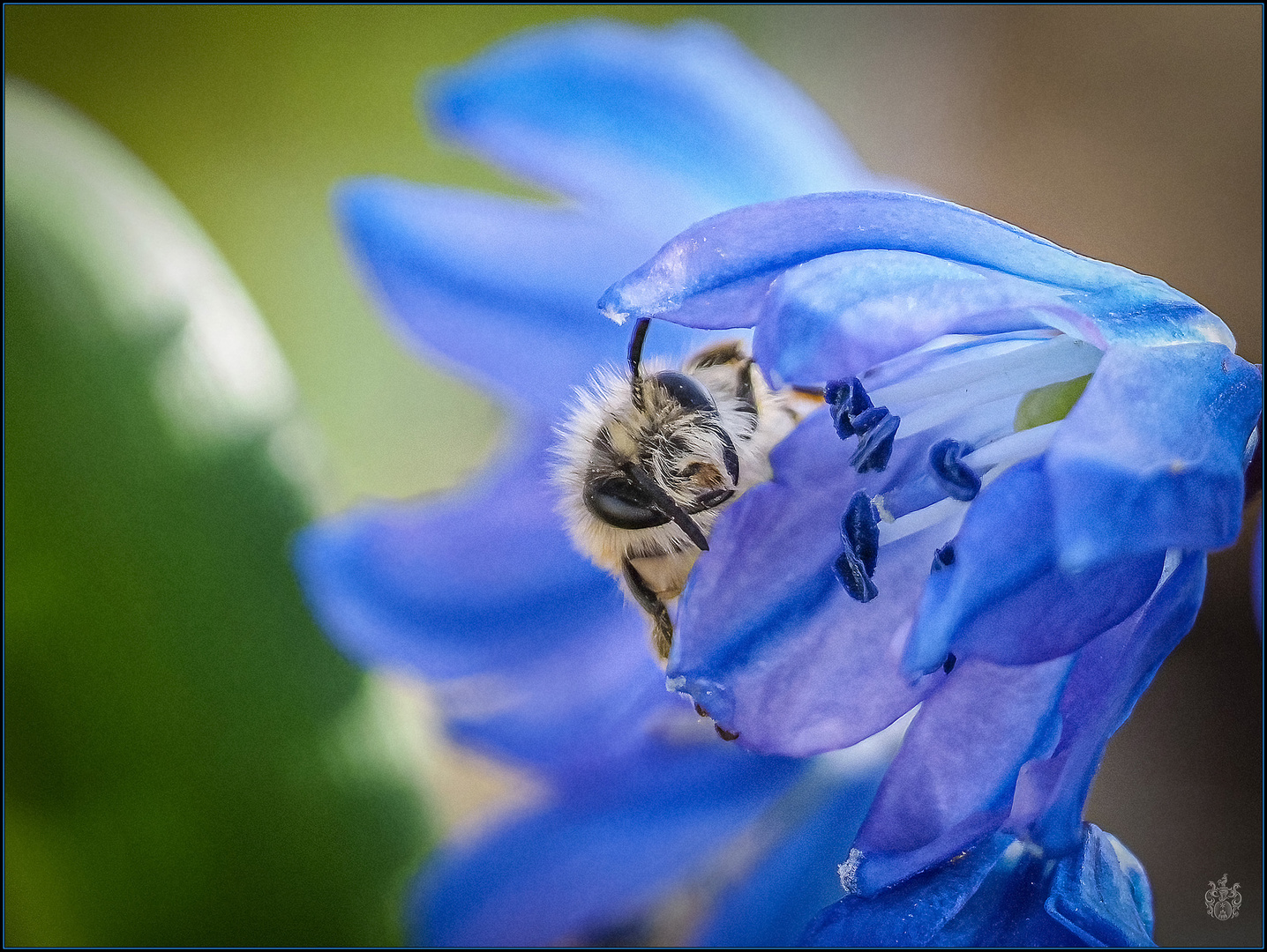 Ins Blaue