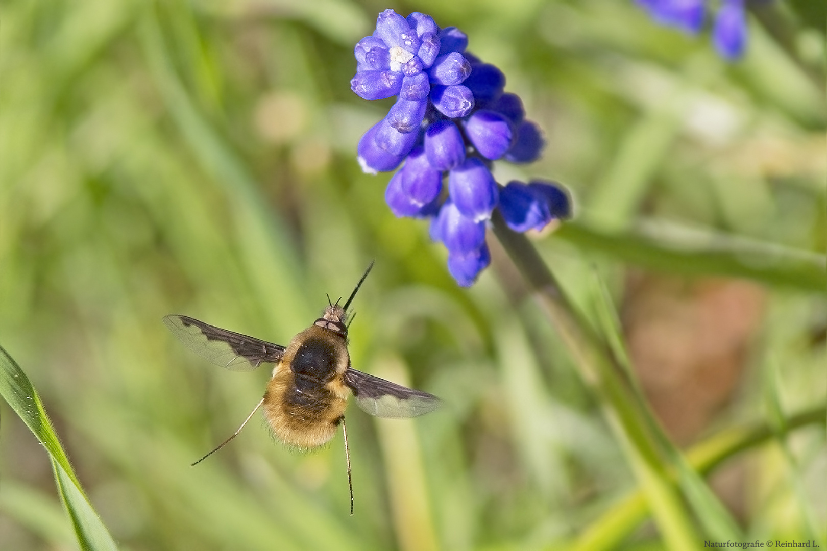 Ins Blaue... 