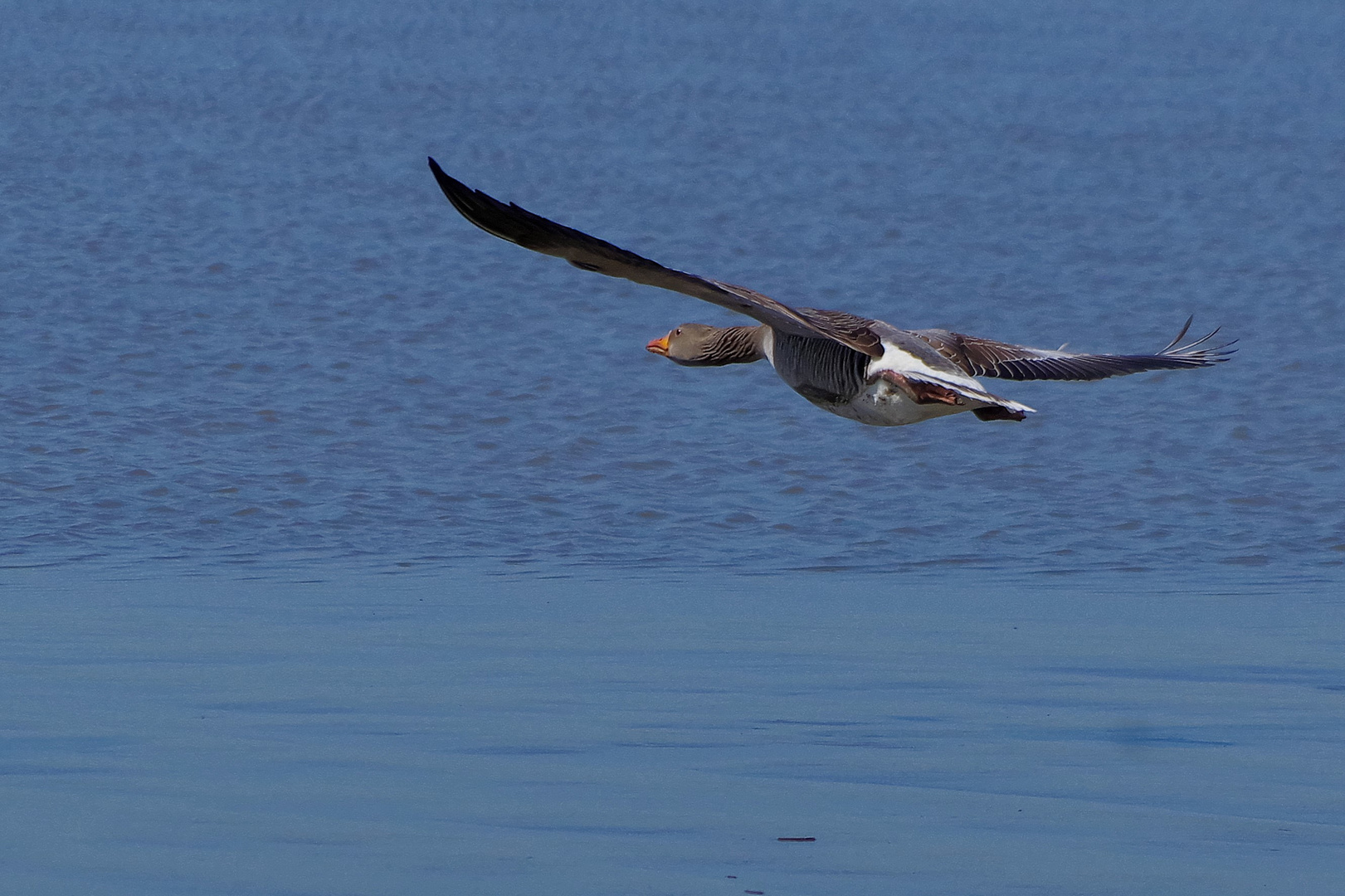 ins Blaue gesegelt