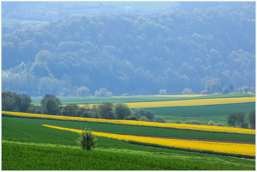 ...ins Blaue hinein gezoomt...  - (mit Def. der Farbperspektive) 