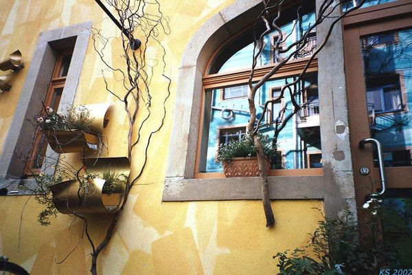 "ins Fenster geschaut"