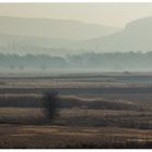 Ins gleißende Licht, in den Dunst hinein... - oder: ...den Frühling ahnend...