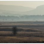 Ins gleißende Licht, in den Dunst hinein... - oder: ...den Frühling ahnend...