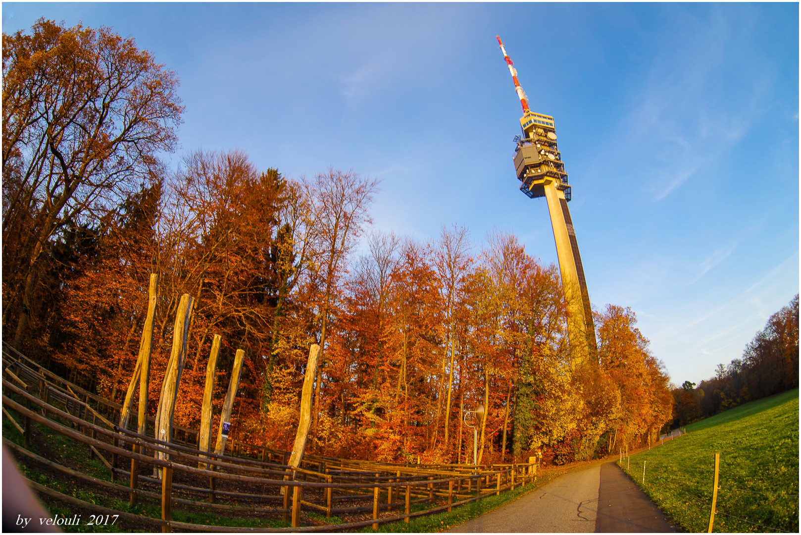 ins letzte Licht gebeugt