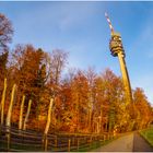 ins letzte Licht gebeugt