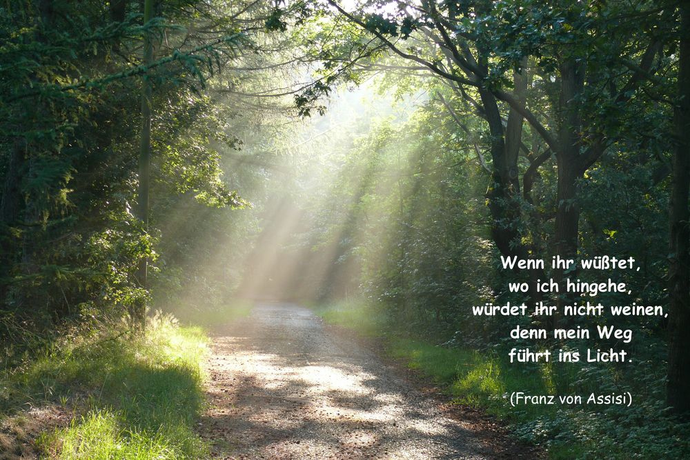 Ins Licht..... Foto & Bild trauerkarten, trauer, spezial Bilder auf
