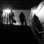 Ins Licht