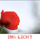 Ins Licht............