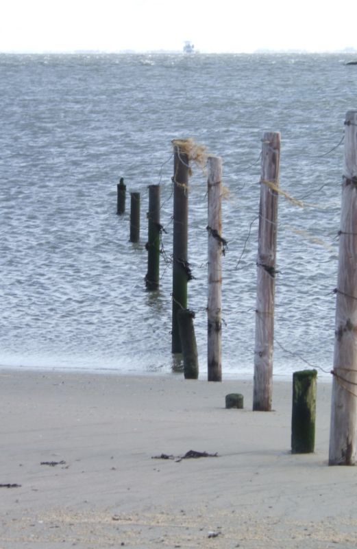 ins Meer bei Cuxhaven