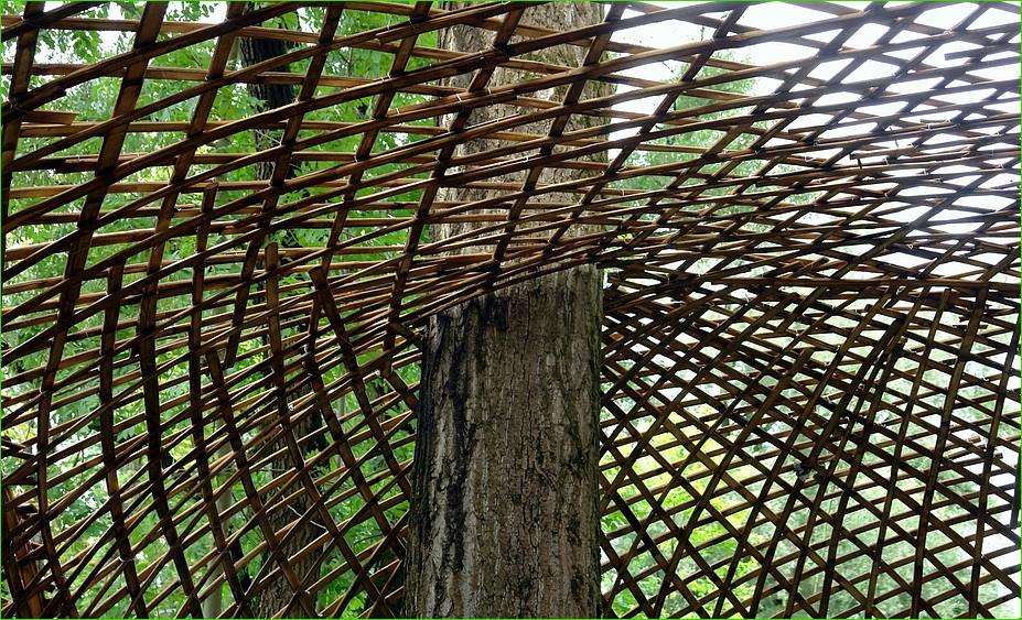 ins Netz gegangen. Foto & Bild landschaft, garten