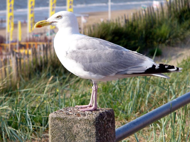 Ins Profil gesetzt...