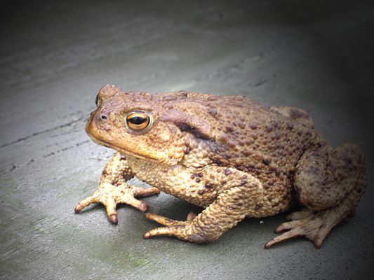 In's rechte Licht gerückt