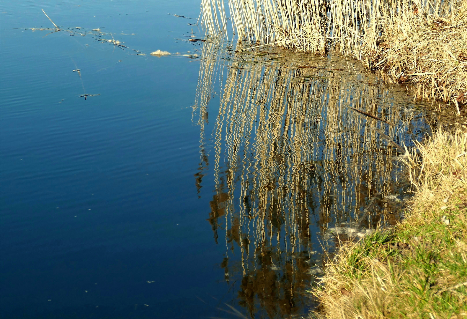 ins tiefe Blau gezittert