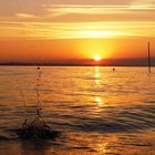 In's Wasser fällt ein Stein