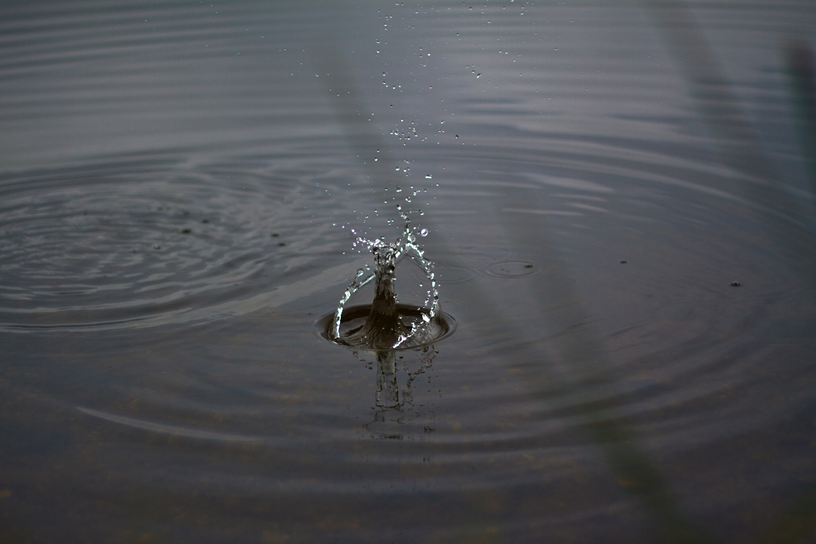 Ins Wasser fällt ein Stein...