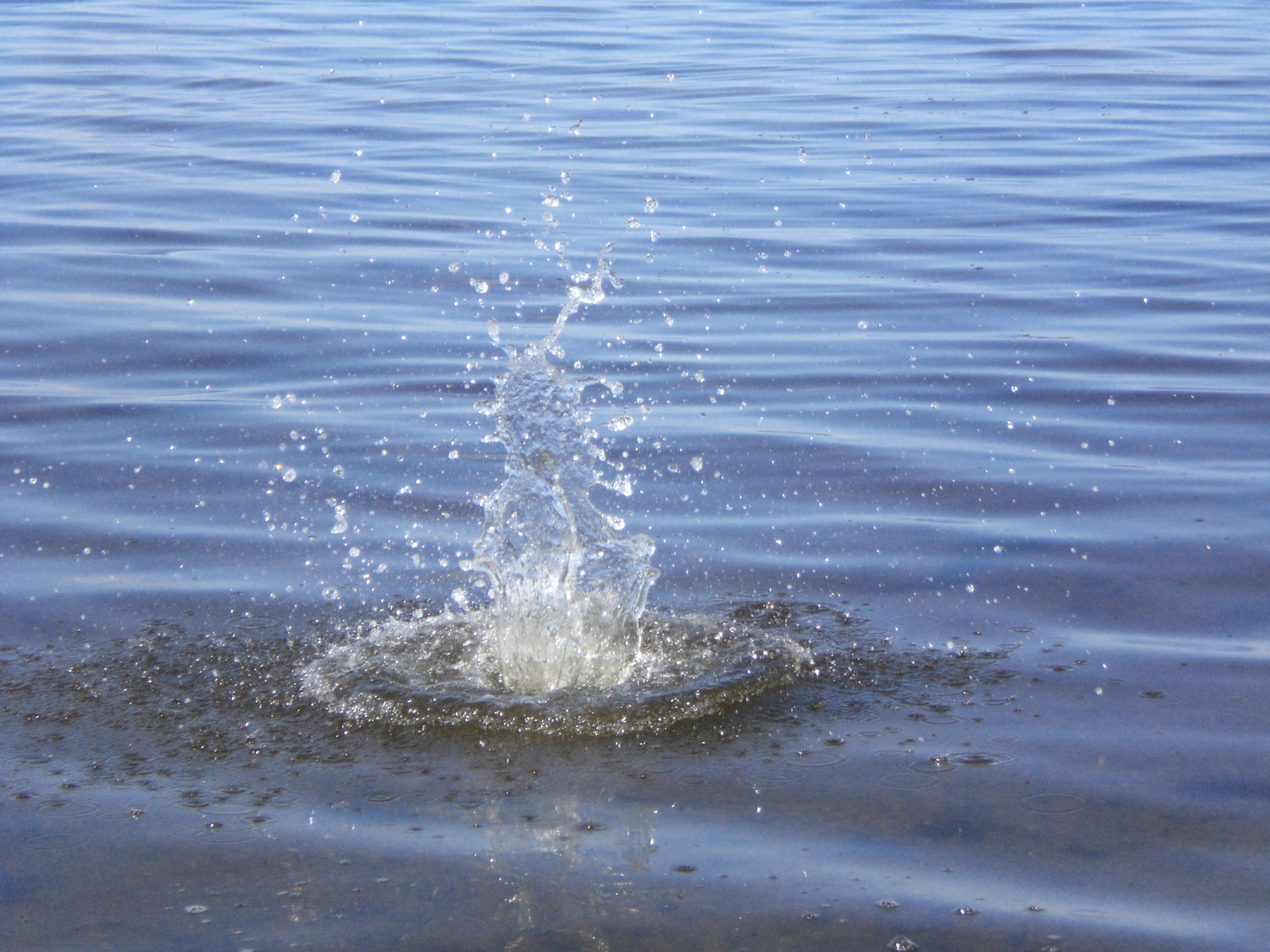 in's Wasser fällt ein Stein...ganz heimlich, still und leise....