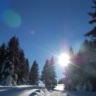 ins weiße land schauen