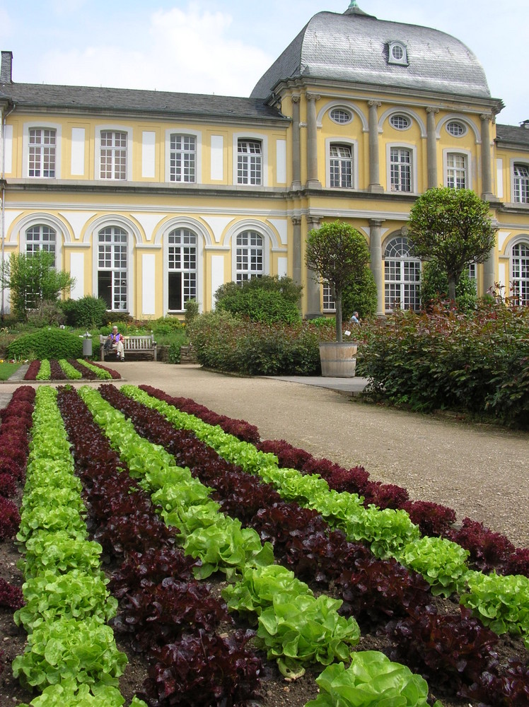 insalata mista vor dem Poppelsdorfer Schloss (Bonn)