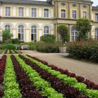 insalata mista vor dem Poppelsdorfer Schloss (Bonn)