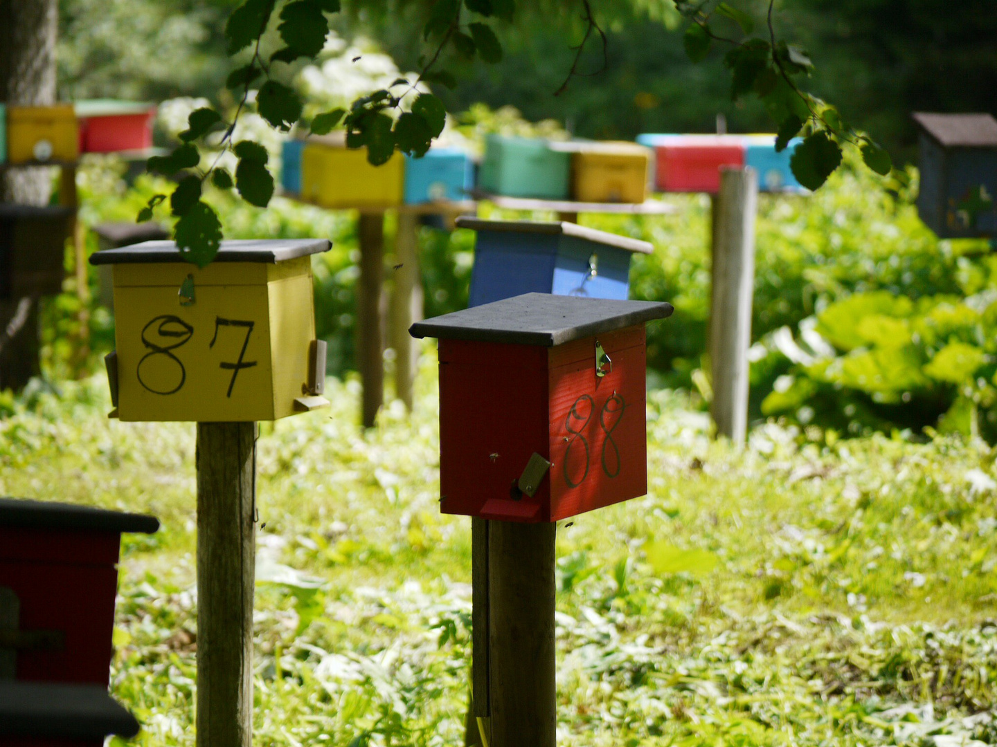 Insect hotel, Allgaeu, Ostrach