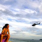 insects over ipanema