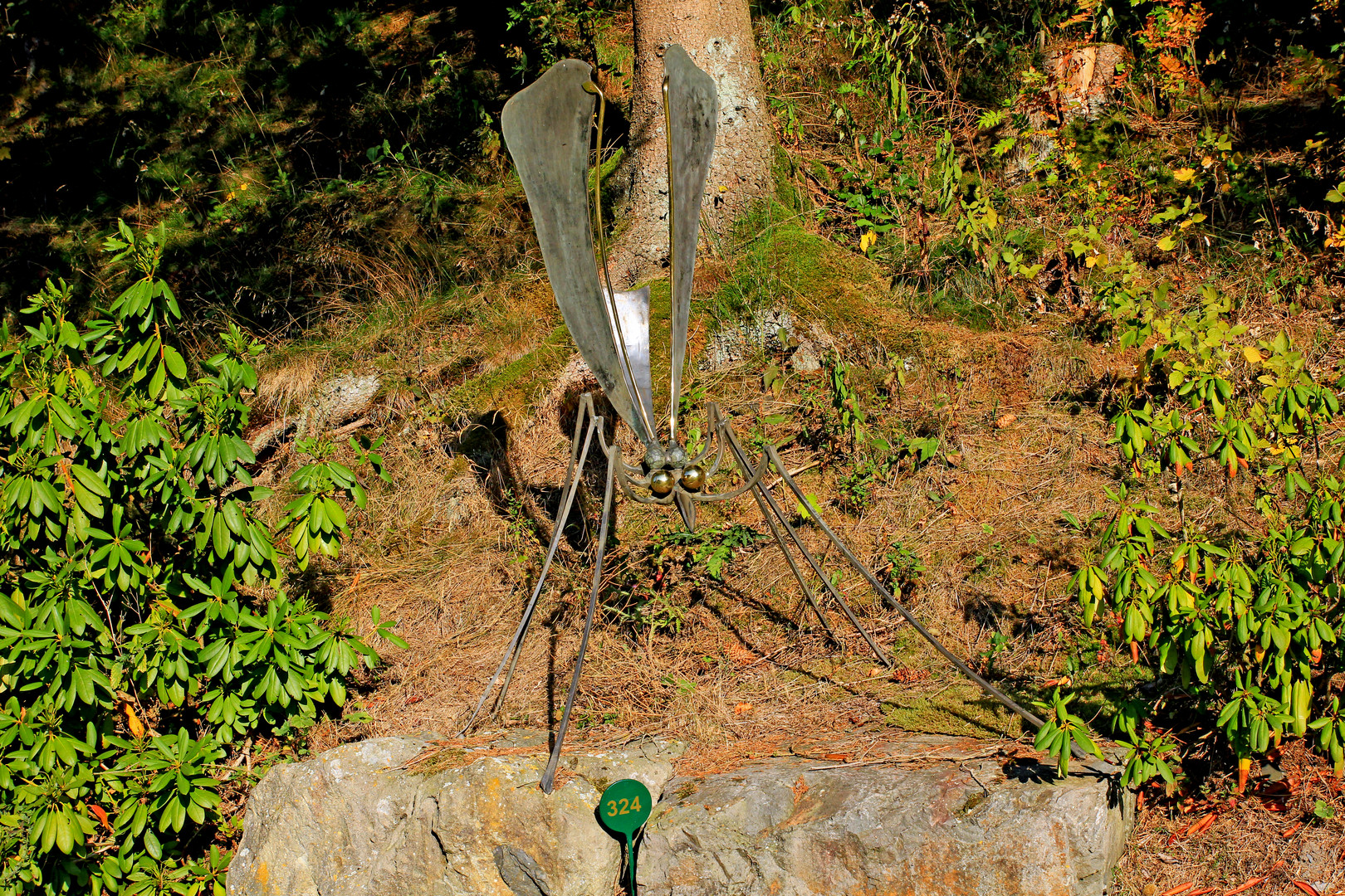 Insekt am Waldrand im Skulpturenpark Klute-Waldemai in Schmallenberg-Niedersorpe