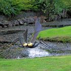 Insekt im Wasser. Skulpturenpark Klute-Waldemai in Schmallenberg-Niedersorpe.