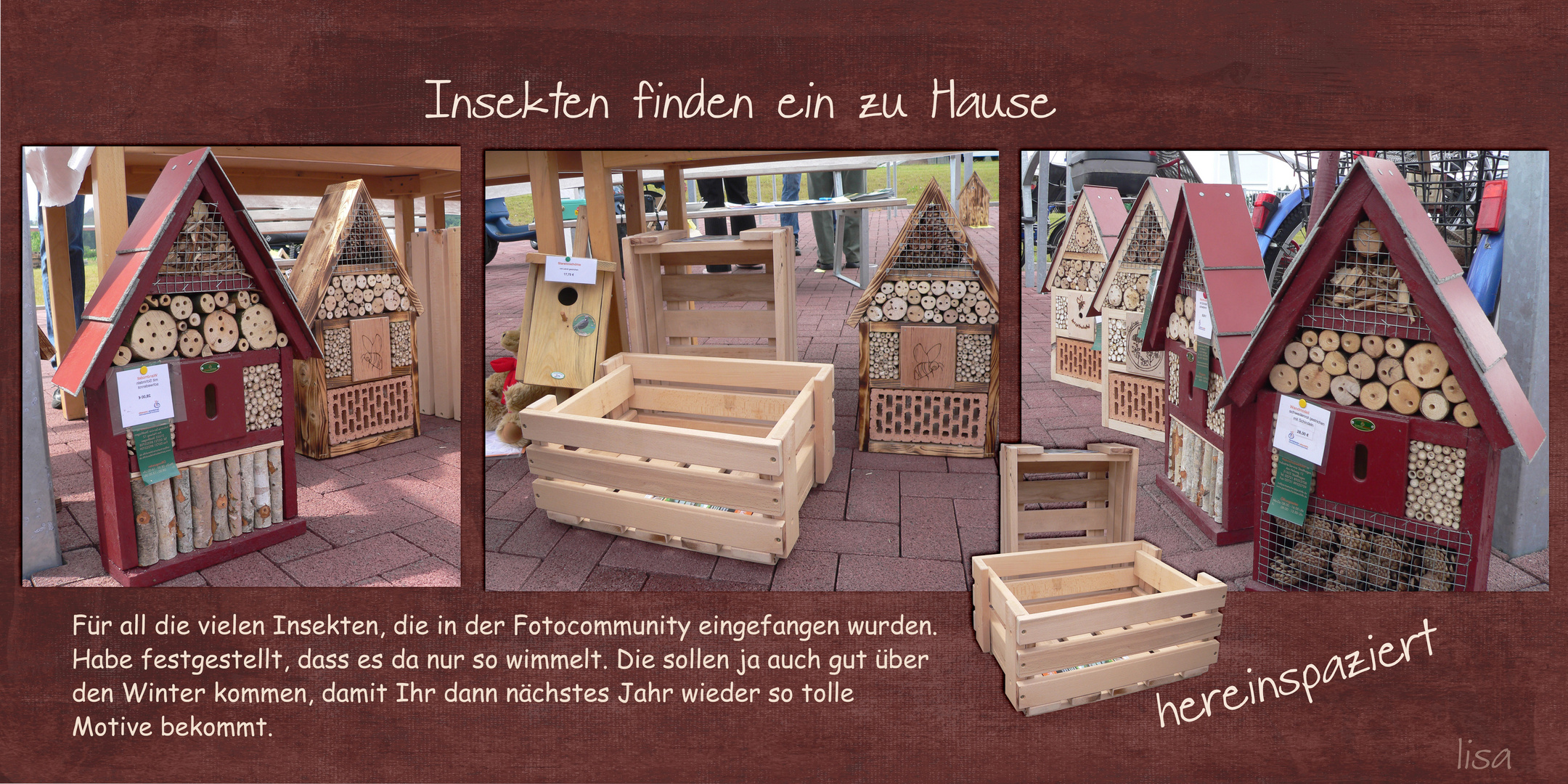 Insekten finden ein Zuhause