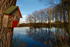 Insekten-Hotel am Weiher