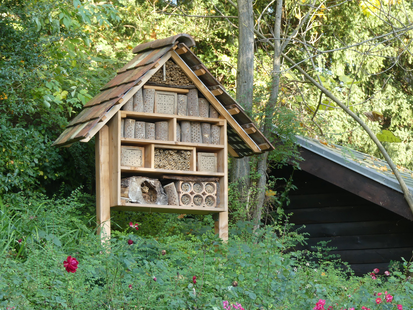 Insektenhaus - lost place?