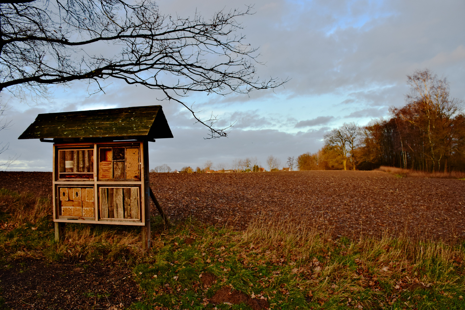 Insektenhotel