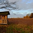 Insektenhotel