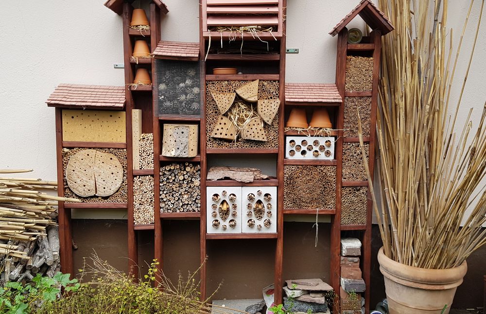 Insektenhotel Foto & Bild natur, motive, alltagsdesign Bilder auf