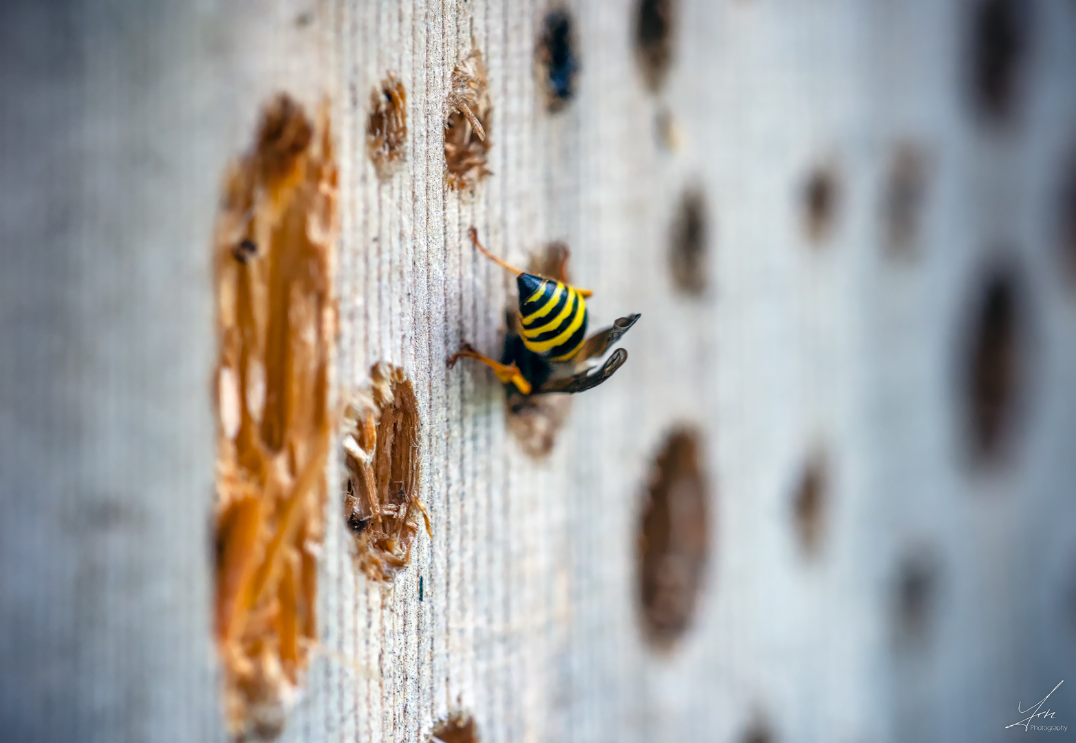 Insektenhotel