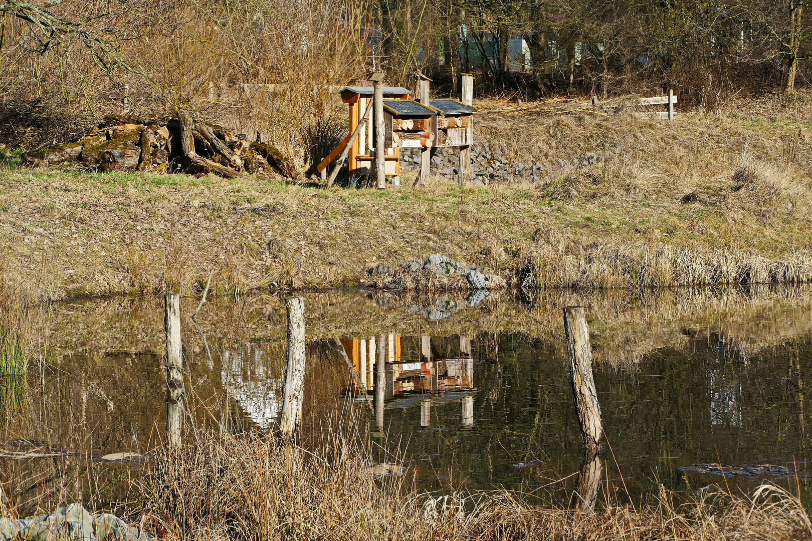 Insektenhotel an Land und im Wasser