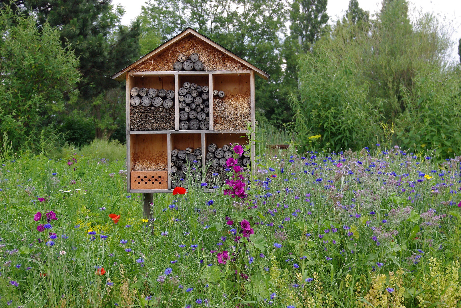 Insektenhotel