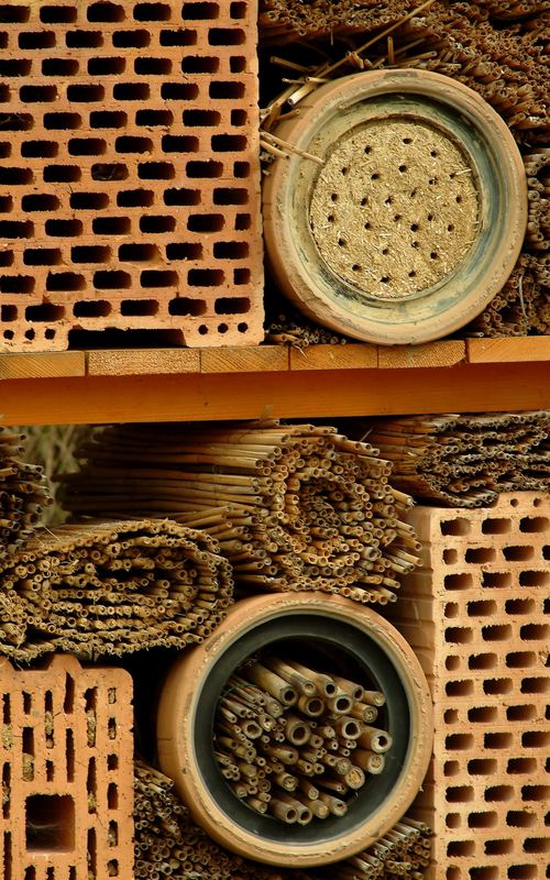 Insektenhotel