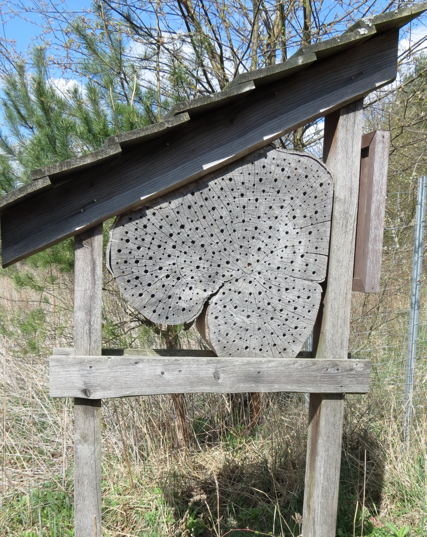 Insektenhotel im Briesetal