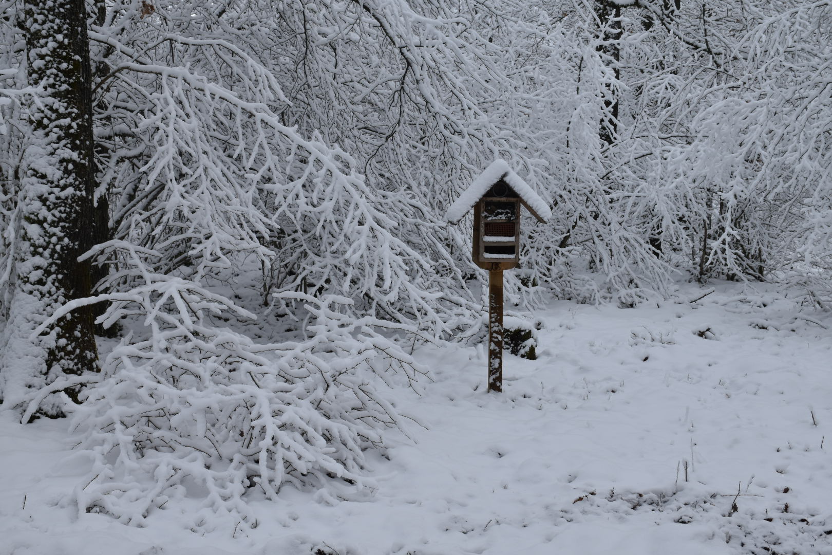 Insektenhotel im Winter