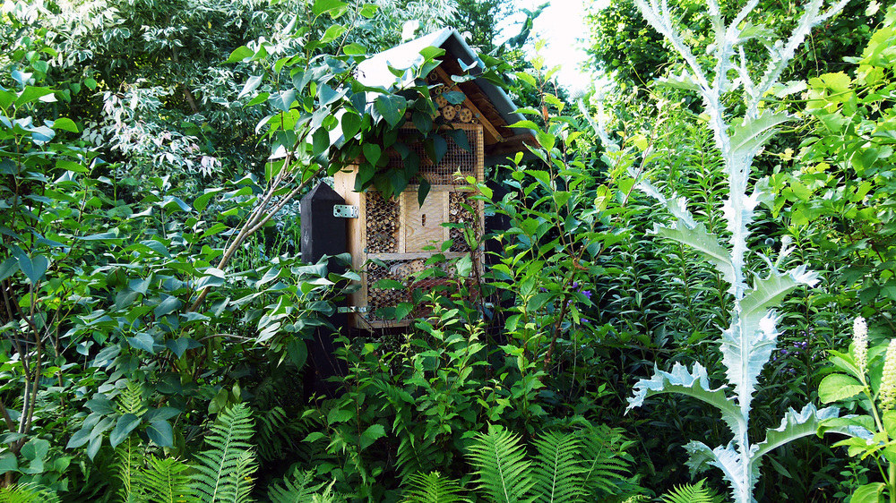 Insektenhotel in Nachbars Garten